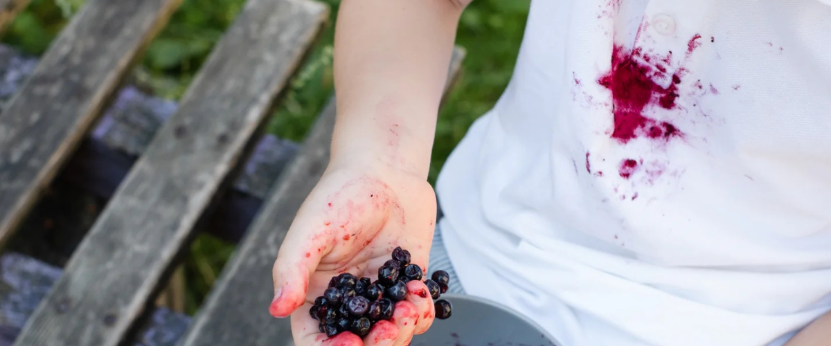 Let’s Talk Pectinase