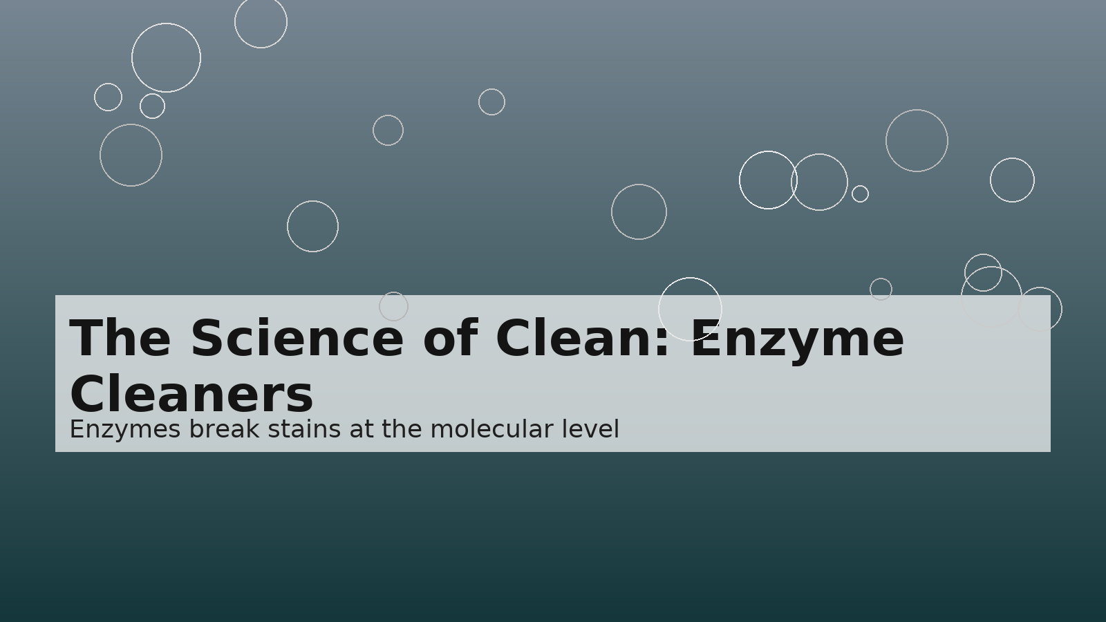 The Science of Clean: Why Enzyme Cleaners Are Changing the Game