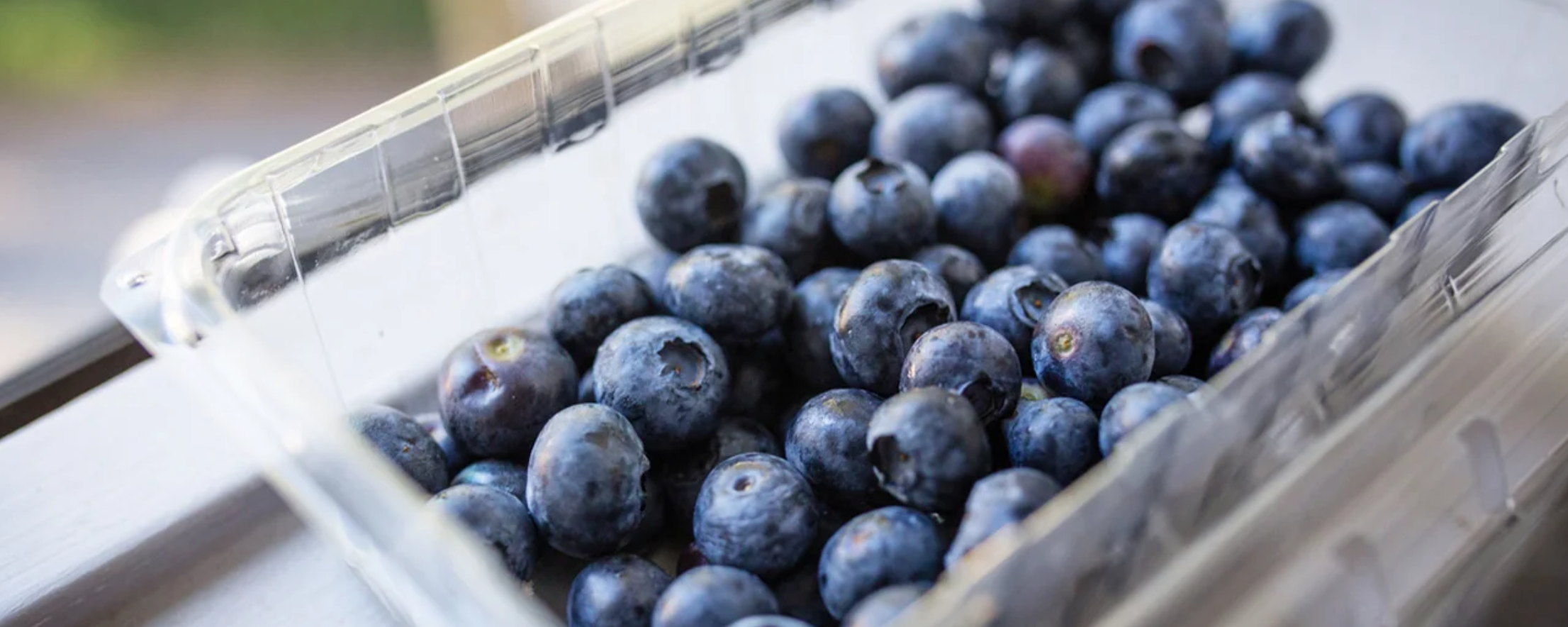 Why Do Blueberries Stain?