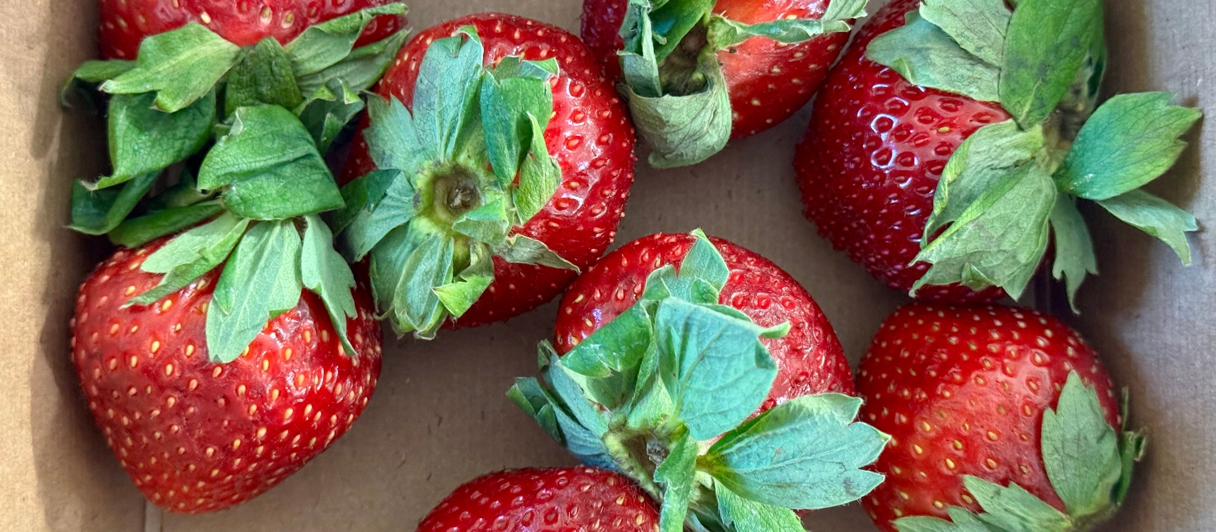 Why Do Strawberries Stain?