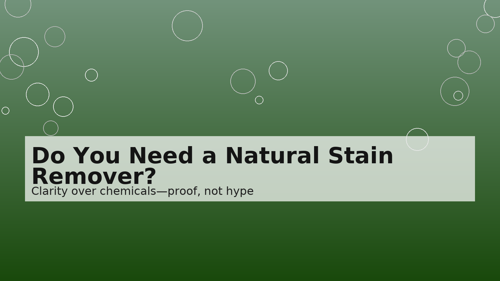 Do You Really Need a Natural Stain Remover