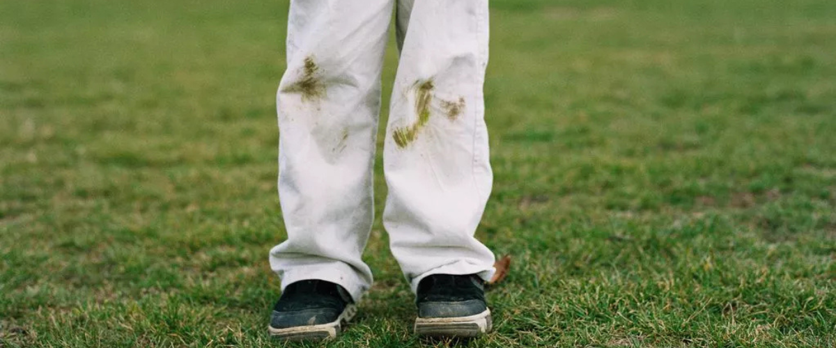 What the Heck Is Cellulase?