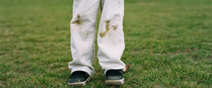 What the Heck Is Cellulase?