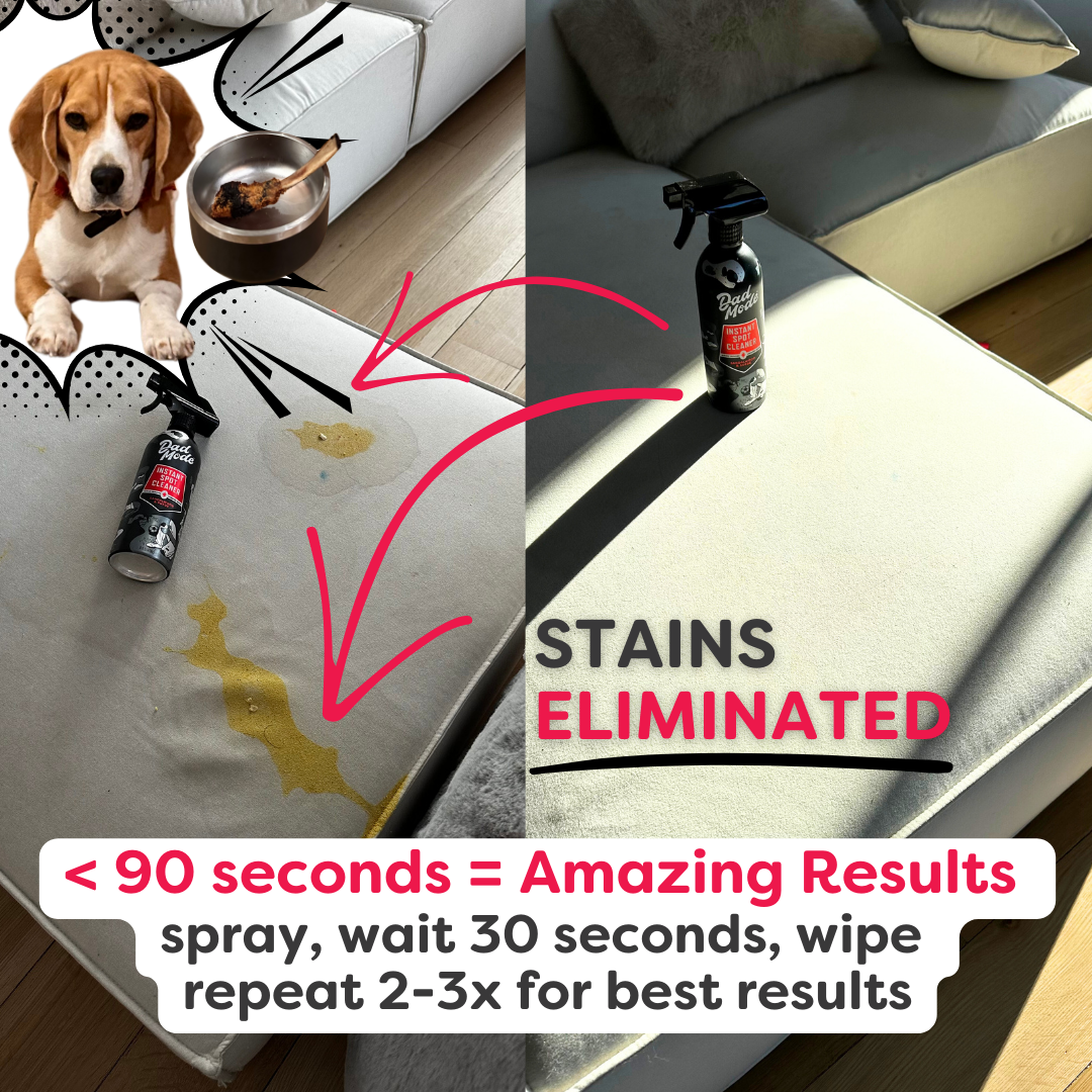 Probiotic Spray & Wipe Stain Cleaner